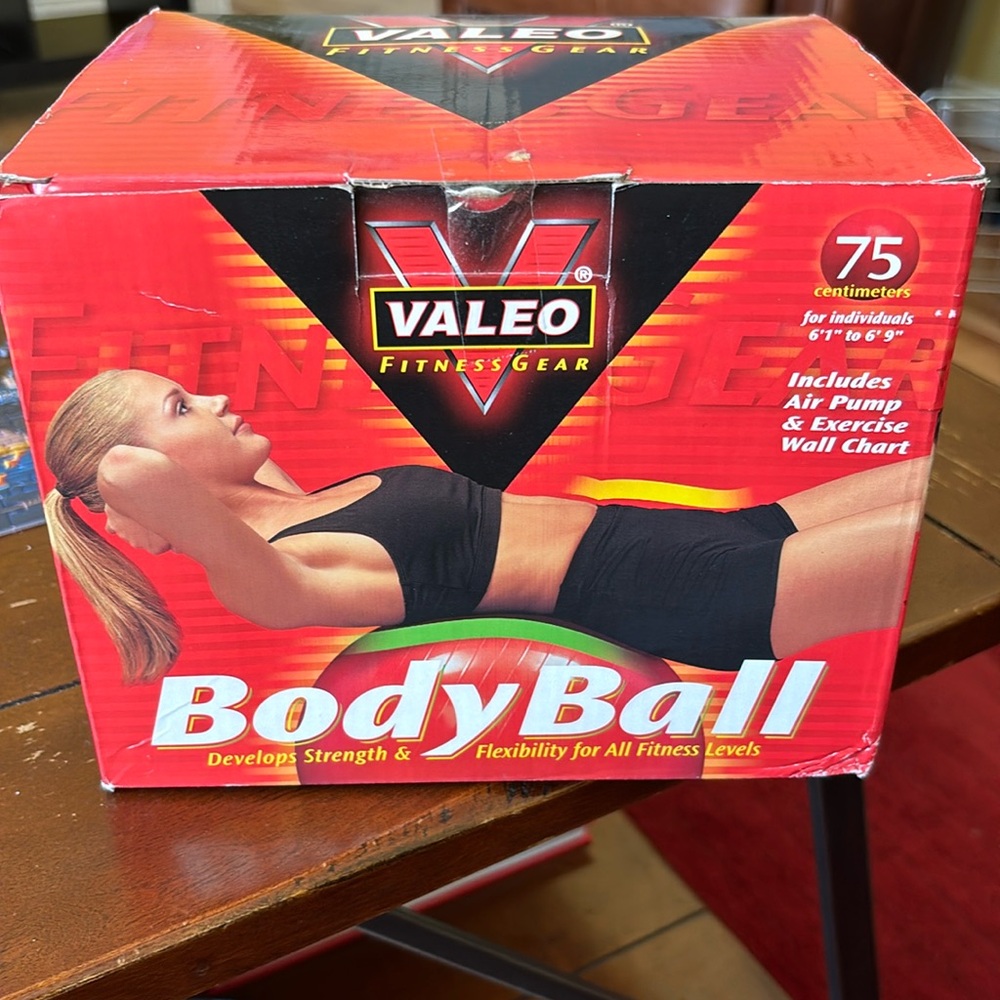 Body Ball for workouts.